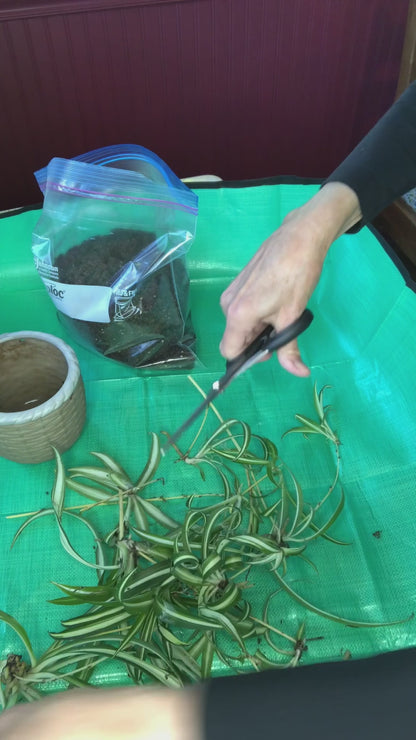 Gardener's Plant Care & Potting Mat